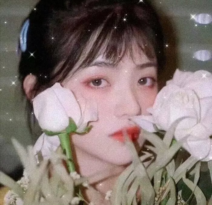 丁香花开的兽道